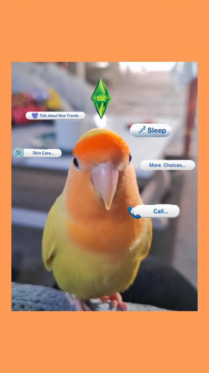 Zen° ✨🐥🌻 tweet media