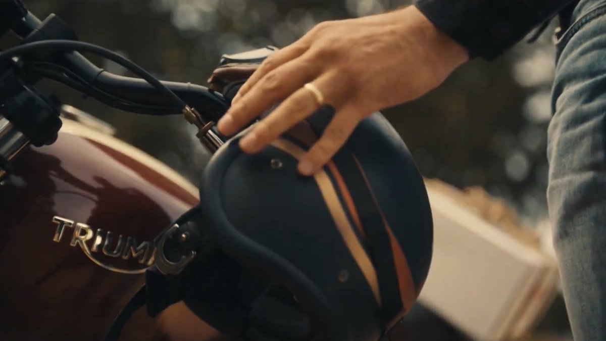 comfort for steve stans tweet media