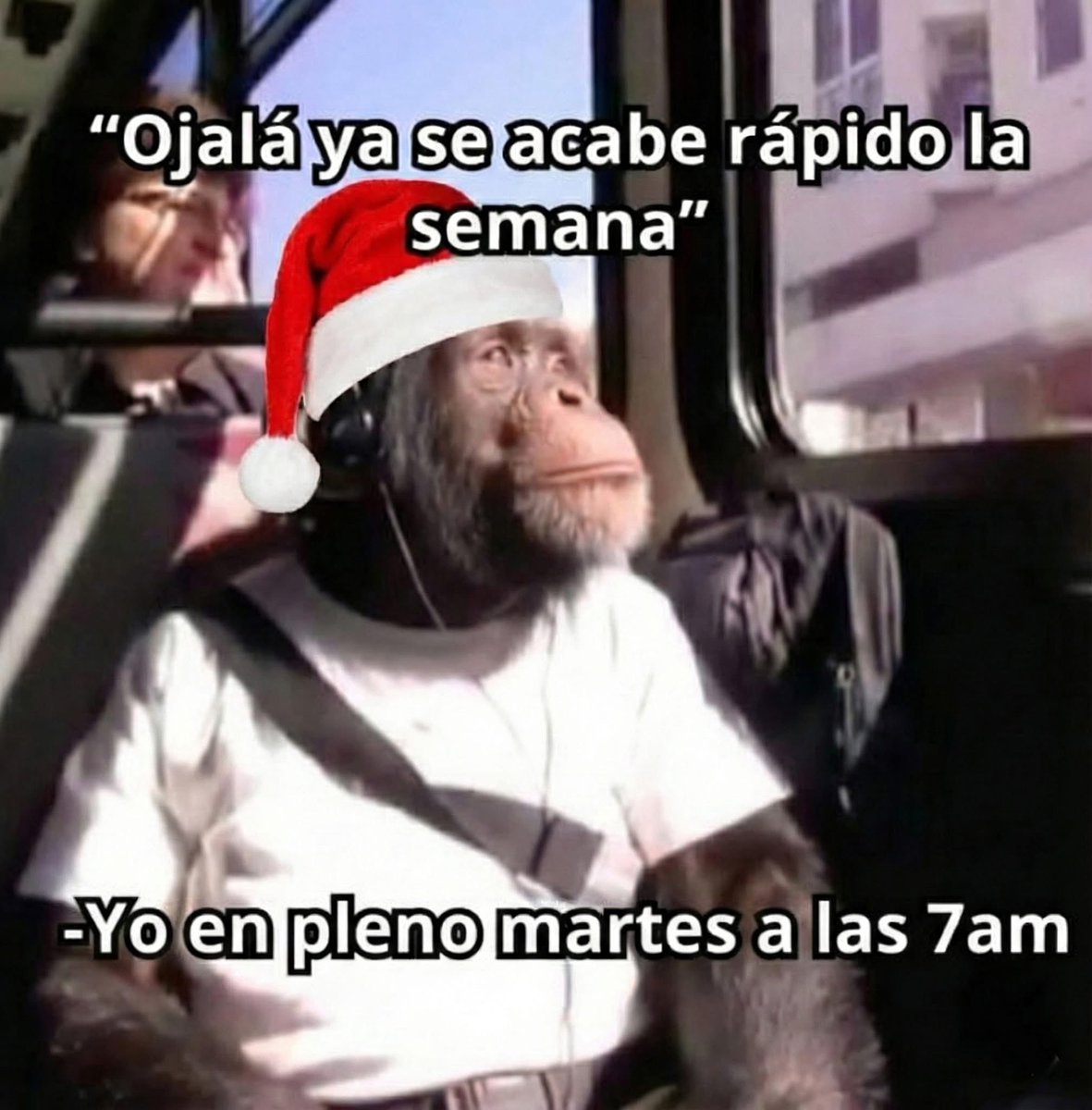 eryriver's tweet image. Es el momento en el que pienso: “será que en vacaciones solo asiste a la oficina la gente importante,  🤔 o los más pendejos “😂😂😂