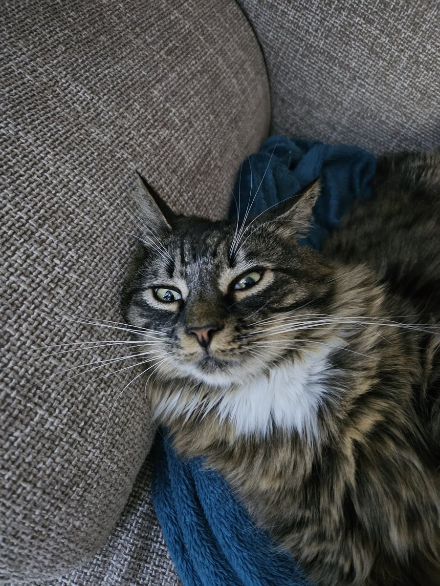 I think he needs a factory reset 😂