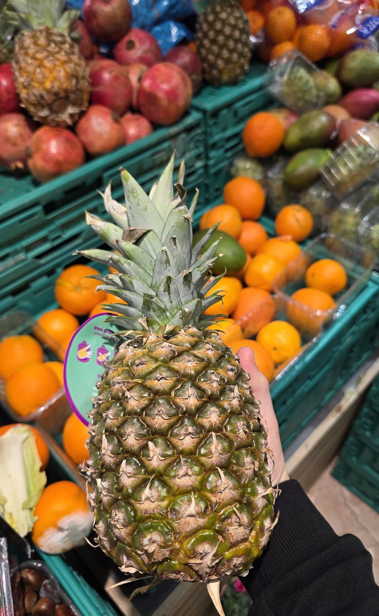 _mertmetin's tweet image. 🔗 Makale: mertmtn.blogspot.com/2025/12/pinia-…

🍍 Pinia neden Vue projelerinde varsayılan state management kütüphanesi haline geldi?

Bu yazıda:
• Pinia nedir? 
• Vuex’ten hangi noktalarda ayrılır?

gibi konuları ele aldım.

Keyifli okumalar :)

#vuejs #Pinia #vue #javascript