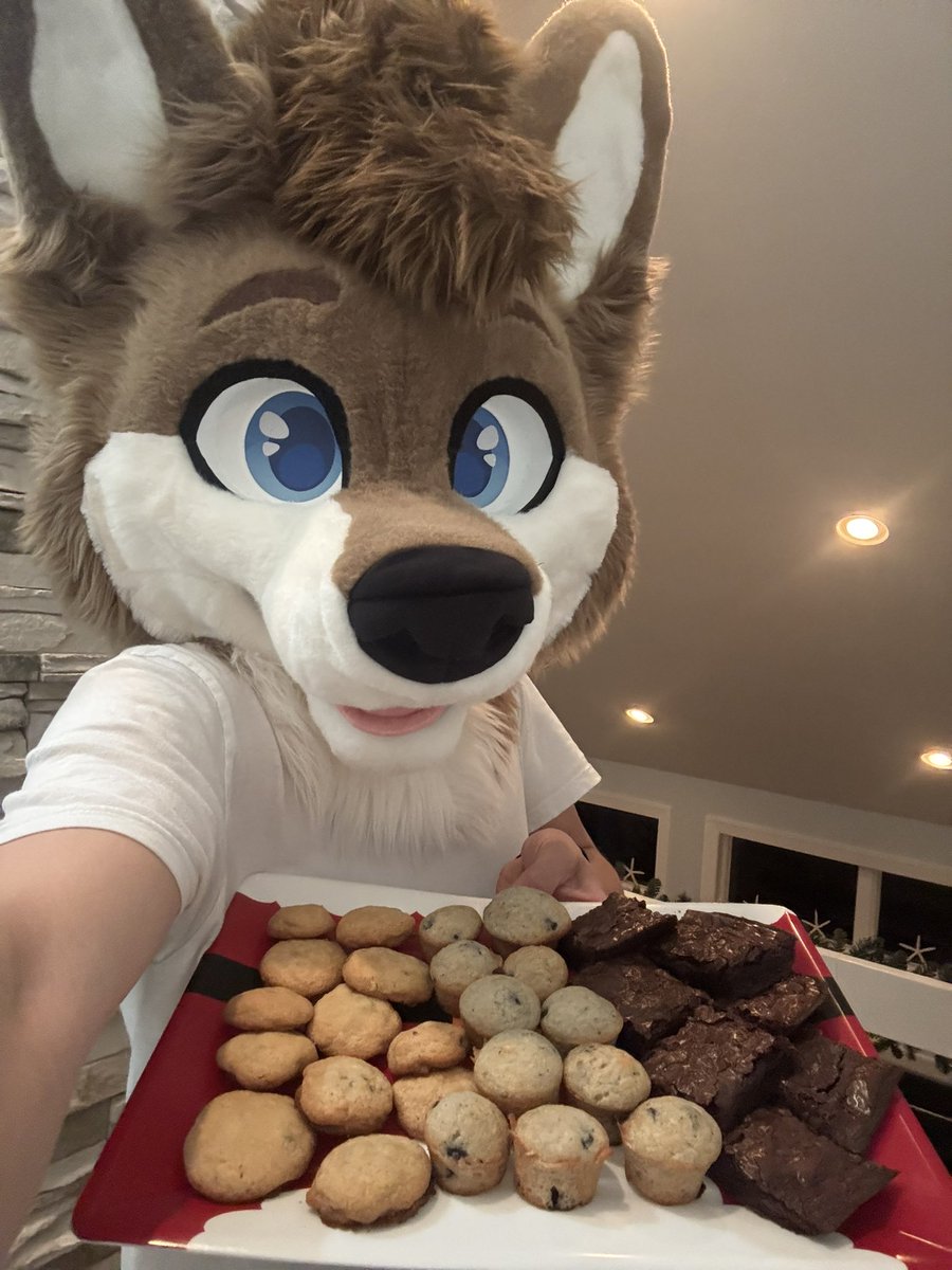 Zuni 🐾 tweet media