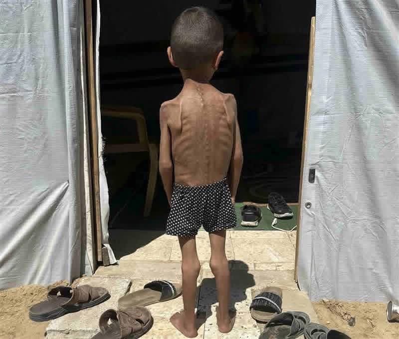 佐藤美津子 佐藤美津子 プロフィール - YouTube