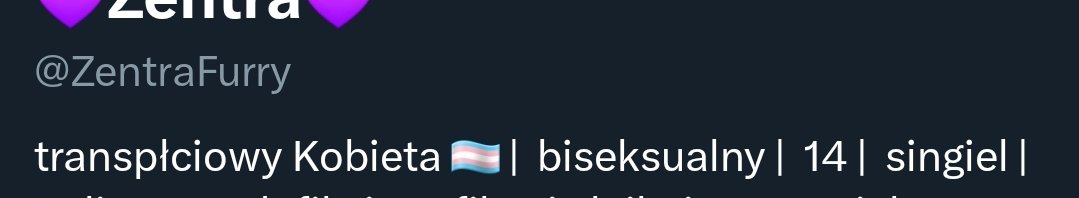 Thermiel_Logs's tweet image. Hi, I'm starting a thread about @Thermiel and their grooming of a minor.

I used to have another person's thread pinned, but they privated so I'm moving evidence over here.

Firstly, his (at the time) 14 year old grooming victim defending him.

Please don't harass the victim.