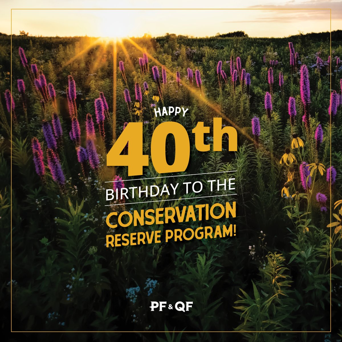 Today marks 40 years since President Reagan signed the 1985 Farm Bill into law, which was the start of the Conservation Reserve Program we know and love today!
 
What started as a way to help farmers prevent topsoil erosion has become an excellent tool for generating wildlife