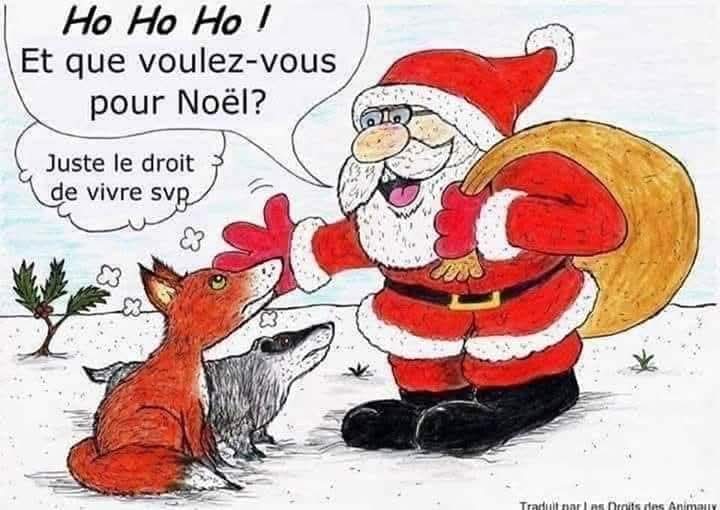 AdeaClaude's tweet image. 