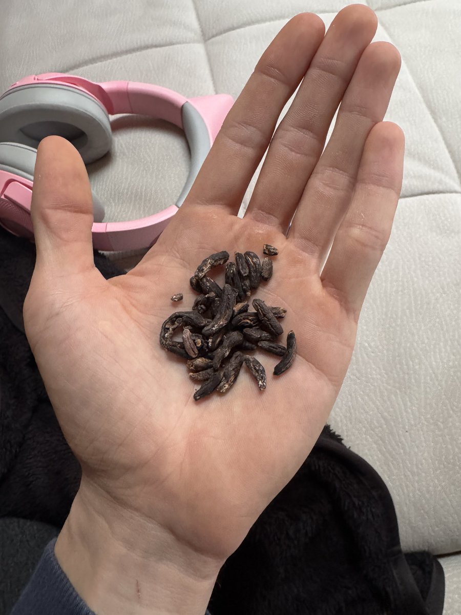 Yk what these are? :3