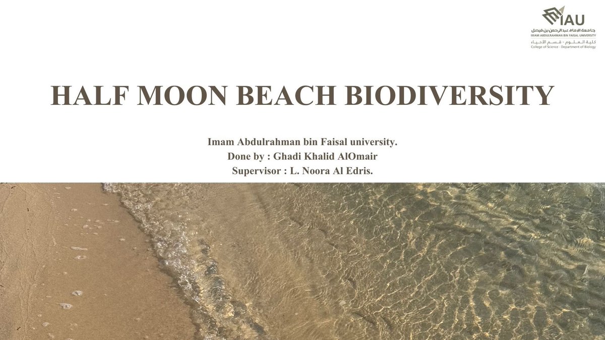 _Ghalomair's tweet photo. From the shoreline to the hidden corners,  lucky to spot a variety of fascinating creatures 🐚🪸

#Ecosystem_of_Arabian_gulf 
@Depofbiology
#سلسلة_الأنشطة_المنهجية https://t.co/OeOAqqSLW9