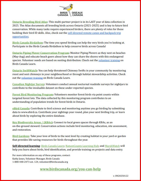 Birds Canada - Ontario Region tweet media