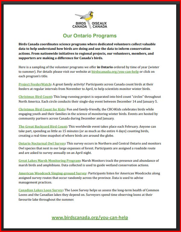 Birds Canada - Ontario Region tweet media
