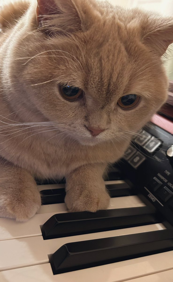 なぎ (@yanaginagi) / Posts / X