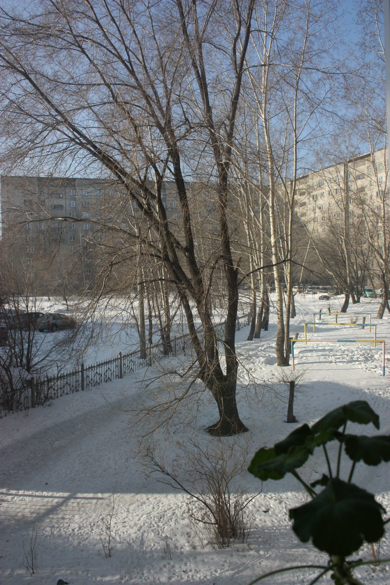 Vassi__'s tweet image. Вторник, 23.12.2025

Алтай вдали спит
Нить отпустила
Шаг...и тишина грусти внутри
Но дышать легче
#якорябольшенет