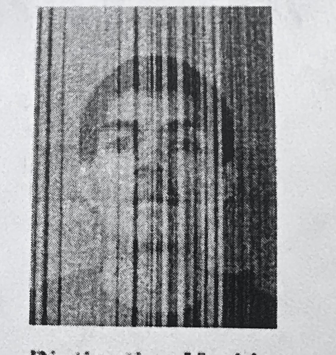 Freddothadon's tweet image. Ba¢k . #FDO