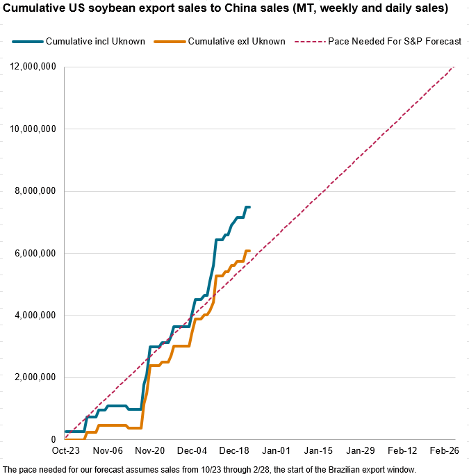 Elizabeth Machuca tweet media