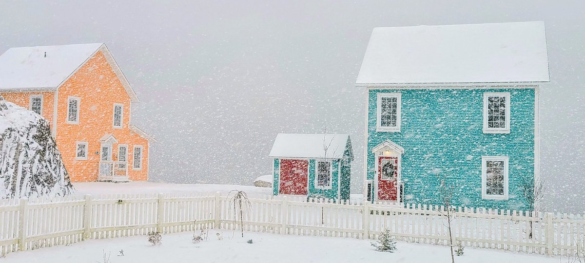 diggerjones27's tweet photo. It's like a snowglobe #nlwx #trinitynl https://t.co/QvnNqy5Kzt