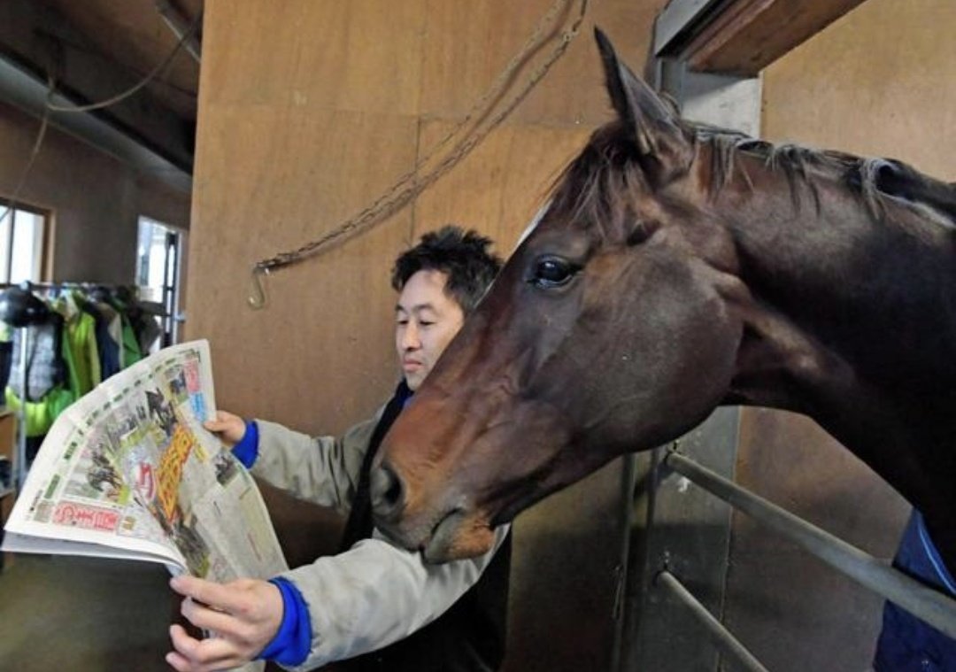 LightningMejiro's tweet photo. @AniTrendz "I see, we continue to dominate as usual." 
WE ARE NOT HUMANS WE ARE HORSES! 
ANOTHER UMAMUSUME W🗣🔥 https://t.co/bXOepnhT9h