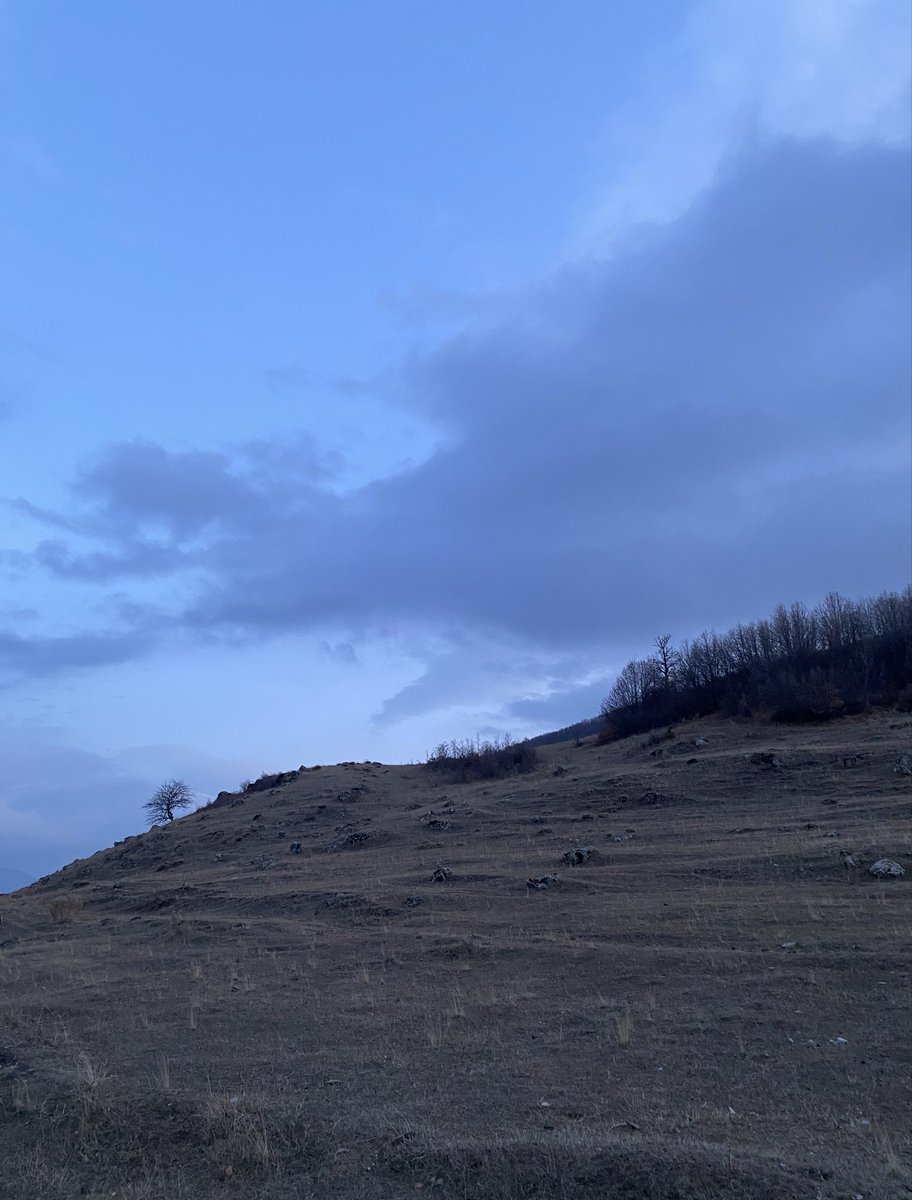 MaryBarev's tweet photo. When nothing seems to be happening https://t.co/u6Zyw8Y377