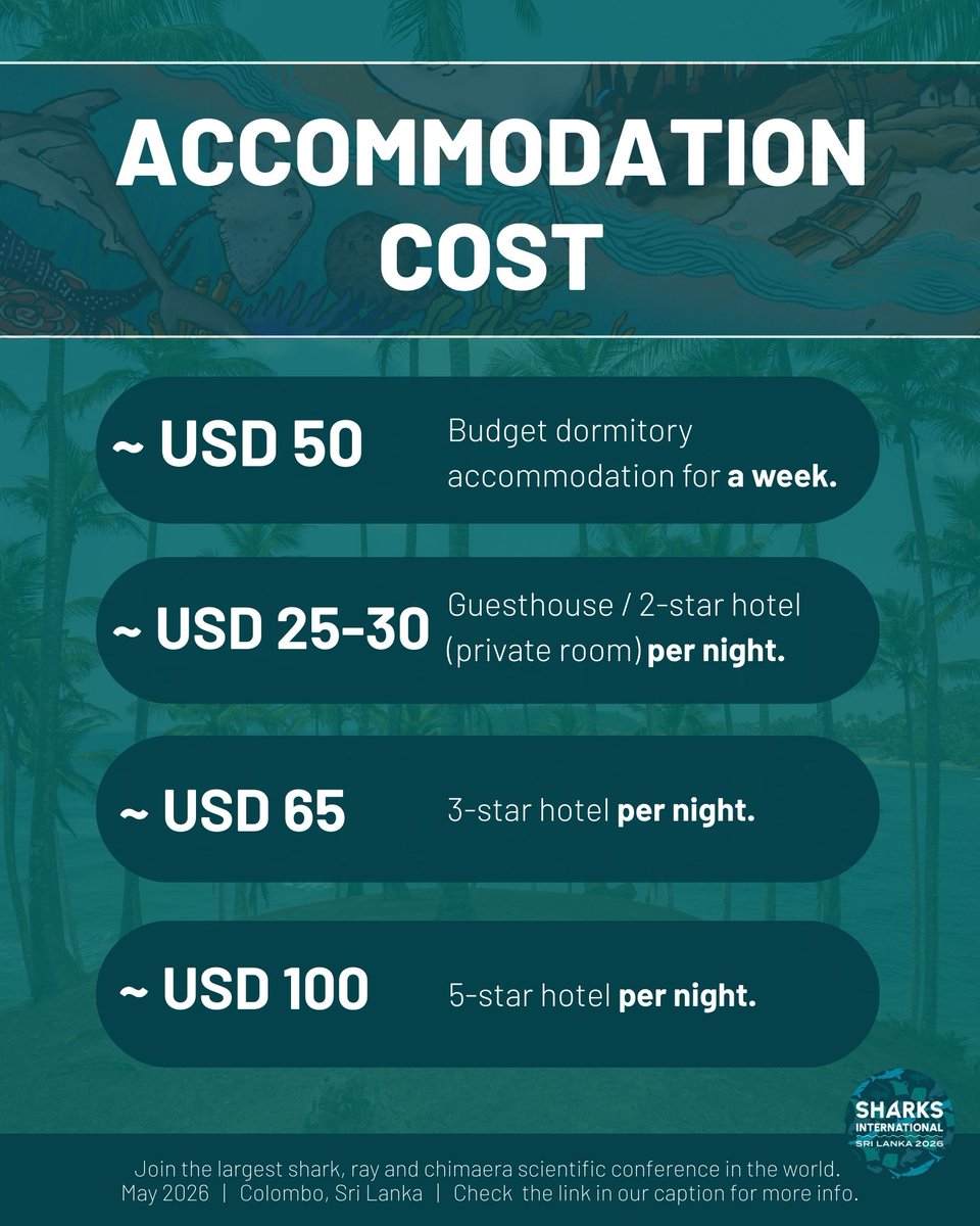 Sharks International 2026 tweet media