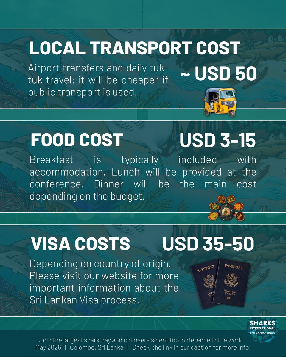 Sharks International 2026 tweet media