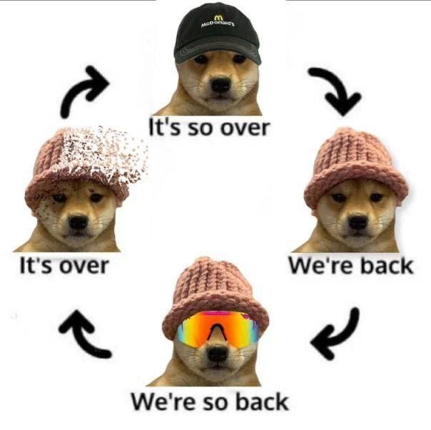 It's so over pack it up

This always precedes the next phase

Only hodlers and believers are rewarded

It'll be slow during holidays

Enjoy the festivities and then back to pushing

Hat stays on hodl gang

First dog to $100

$WIF