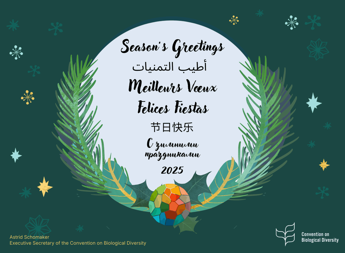UNBiodiversity's tweet photo. As 2025 comes to an end, @SchomakerAstrid reflects on a year of collaboration and progress for biodiversity.  

Moving into 2026, @UNBiodiversity thanks all partners and extends warm end-of-year wishes to our global community.  

🔗 2025 Year in Review: https://t.co/KFWMZgLqVi https://t.co/Xo4uwpbjTV