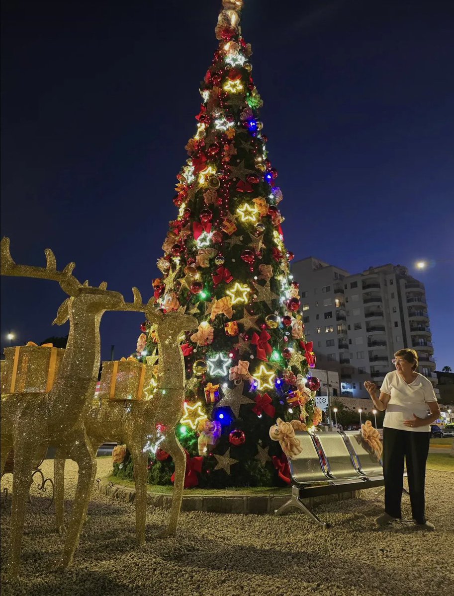 rebemarconi's tweet photo. @Rekienheiwa @UnPibeComun0 @Zyxxyy69 @Libertar_ian los parques o plazas también se decoran, las intendencias de cada departamento se encargan de decorar las plazas, acá algunos ejemplos de decoraciones que se hicieron este año https://t.co/50IIqFn4mn