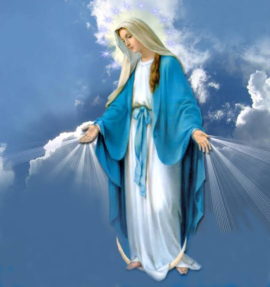 henriolliveira_'s tweet photo. AVE MARIA, cheia de graça,
o Senhor é convosco,
bendita sois vós entre as mulheres
e bendito é o fruto do vosso ventre, Jesus.
Santa Maria, Mãe de Deus,
rogai por nós pecadores,
agora e na hora da nossa morte.

AMÉM! https://t.co/LZm7Rl1jI5