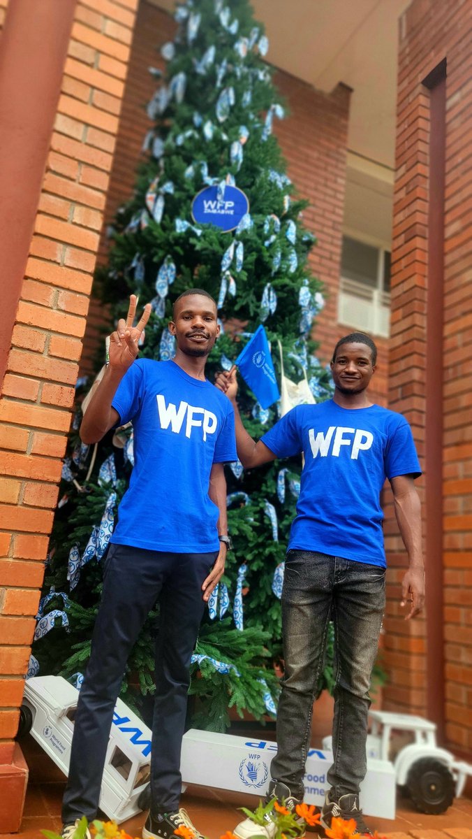 Cyton3151's tweet photo. This Christmas, hope is all around us. When you spot a #WFPChristmasTree, take a photo and share it on your socials. Let it be a symbol of kindness, unity, and our shared journey toward a #ZeroHunger world with @WFP_Zimbabwe.
#ShareThisSeasonZW 🎄🌱 https://t.co/Uy1MmkGWeL