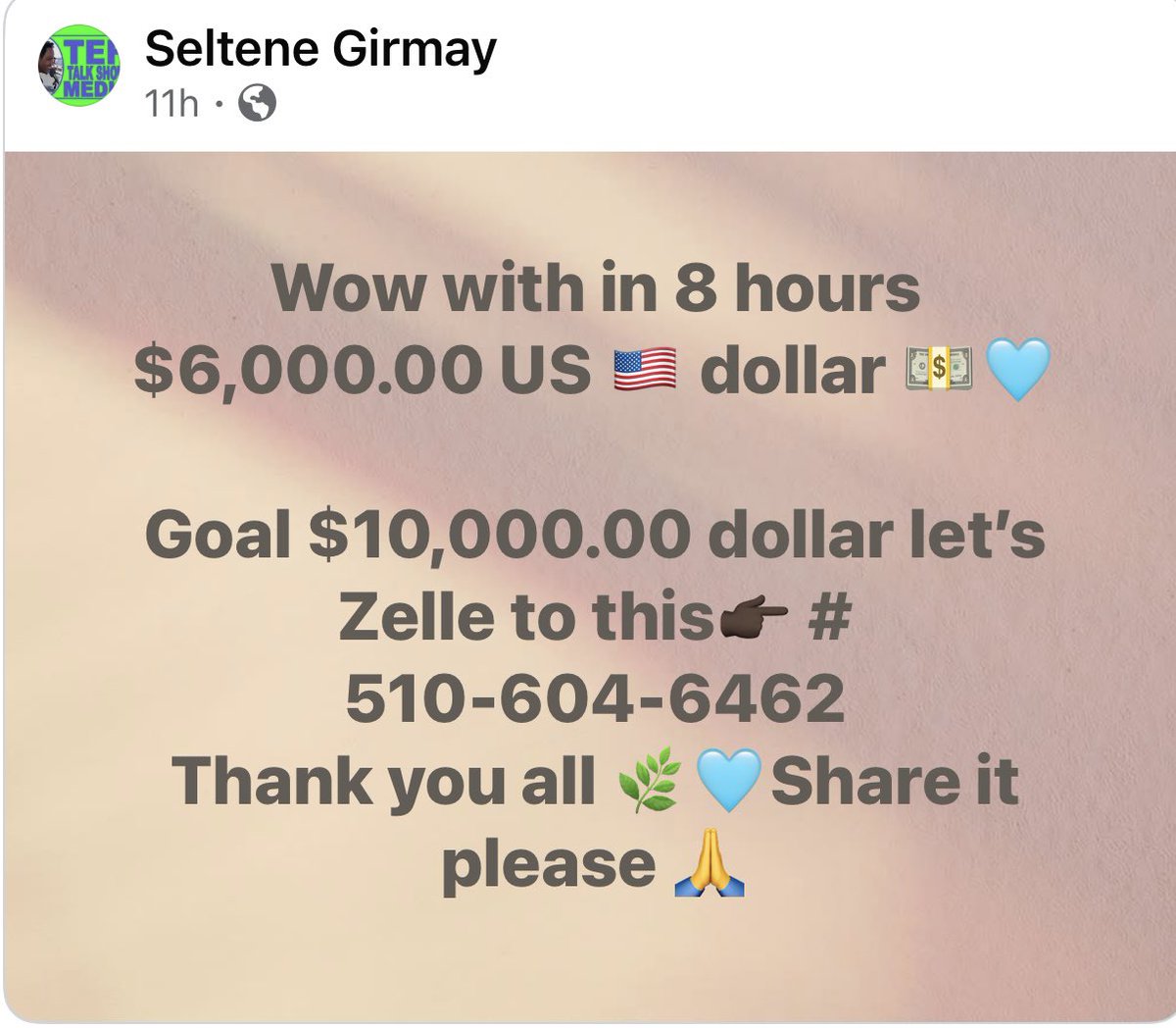 Elsie tweet media