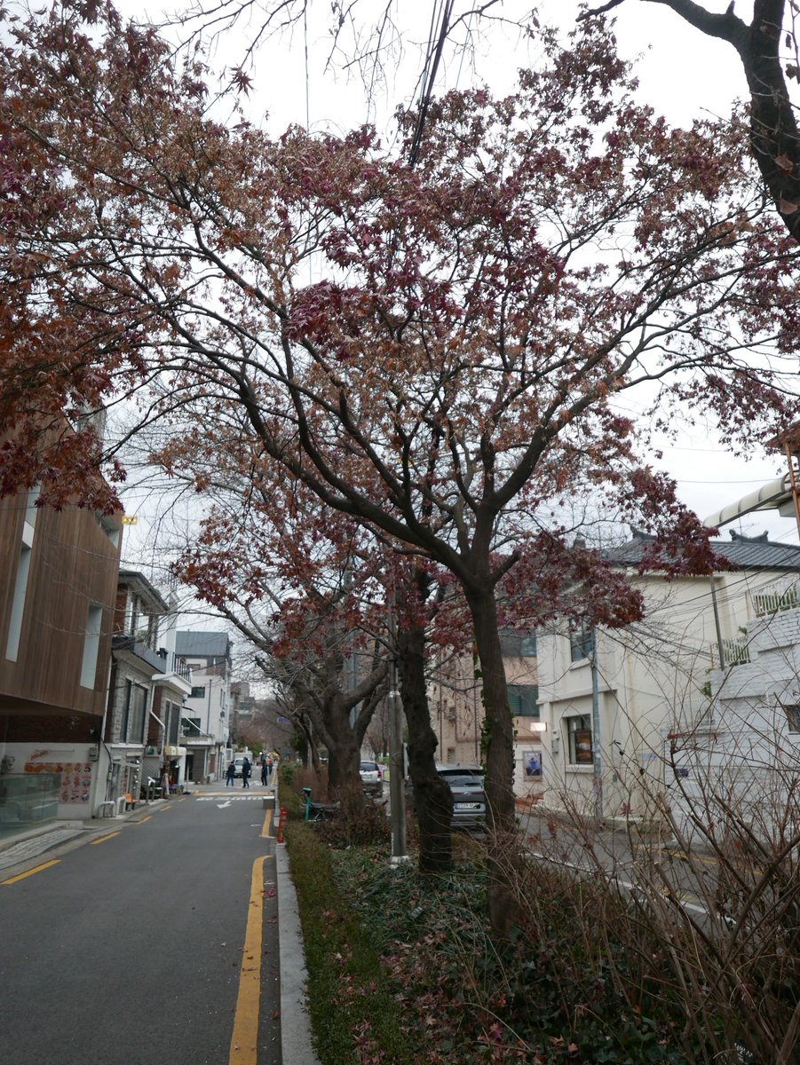sweetrabbitman's tweet photo. Seoul https://t.co/GYSWBe46Fn