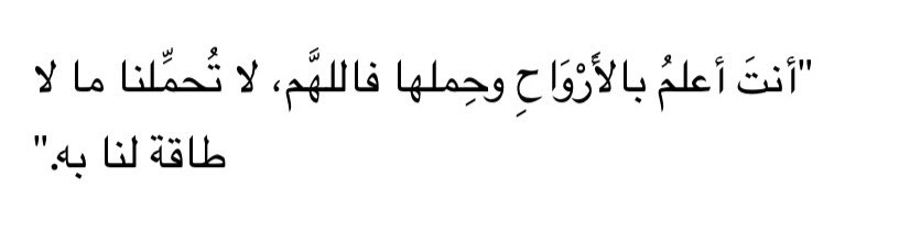 لطيف. tweet media