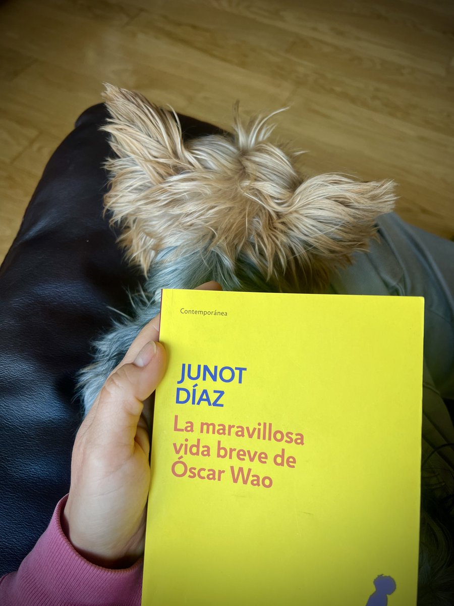 Lo voy a terminar en la próxima media hora, así, con Rita dormida en mi regazo. Mejorádmelo si podéis... Lleva siglos queriendo leer algo de Junot Díaz, y la verdad es que Óscar Wao y familia me han flipado.