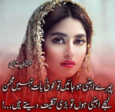چہرے اجنبی ہو جائیں تو کوئی بات نہیں محسن ،،
لہجے اجنبی ہوں تو بڑی تکلیف دیتے ہیں..........
Have a sweet dreams
