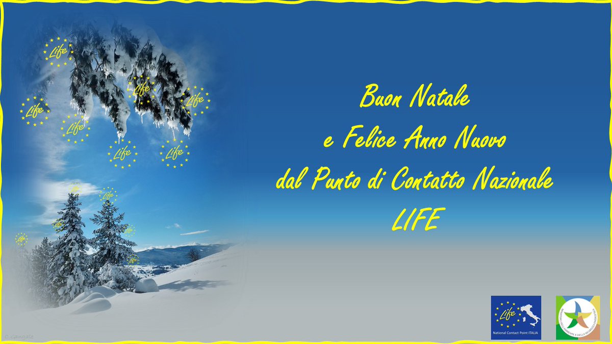 NCP LIFE IT 🇮🇹 tweet media