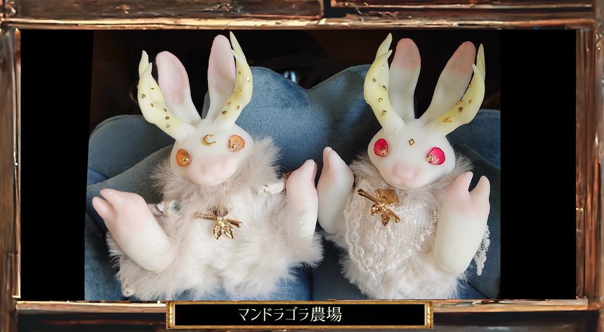 ワンフェス　マンドラゴラ ジャッカリョーシカちゃんも見てみて～！！ 次回販売は2月のワンフェス