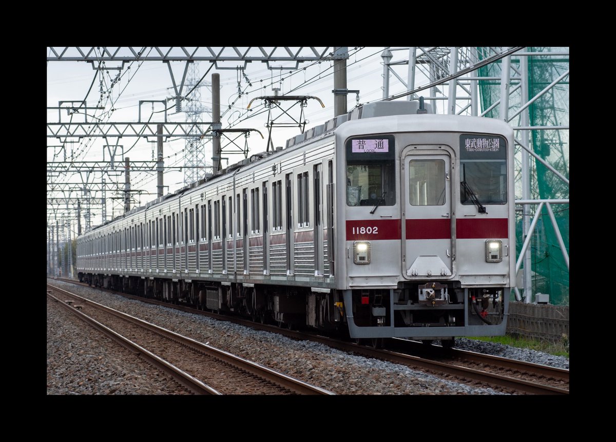 はるかきゅんです！ (@haruka_kyunkyun) / Posts / X