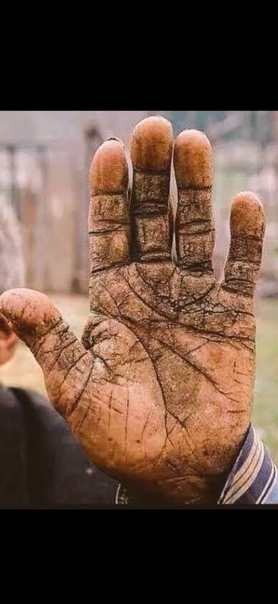 Emeğin ucuz, ekmeğin pahalı olduğu dönem.  Ayıptır, yazıktır, günahtır..
#asgariücret