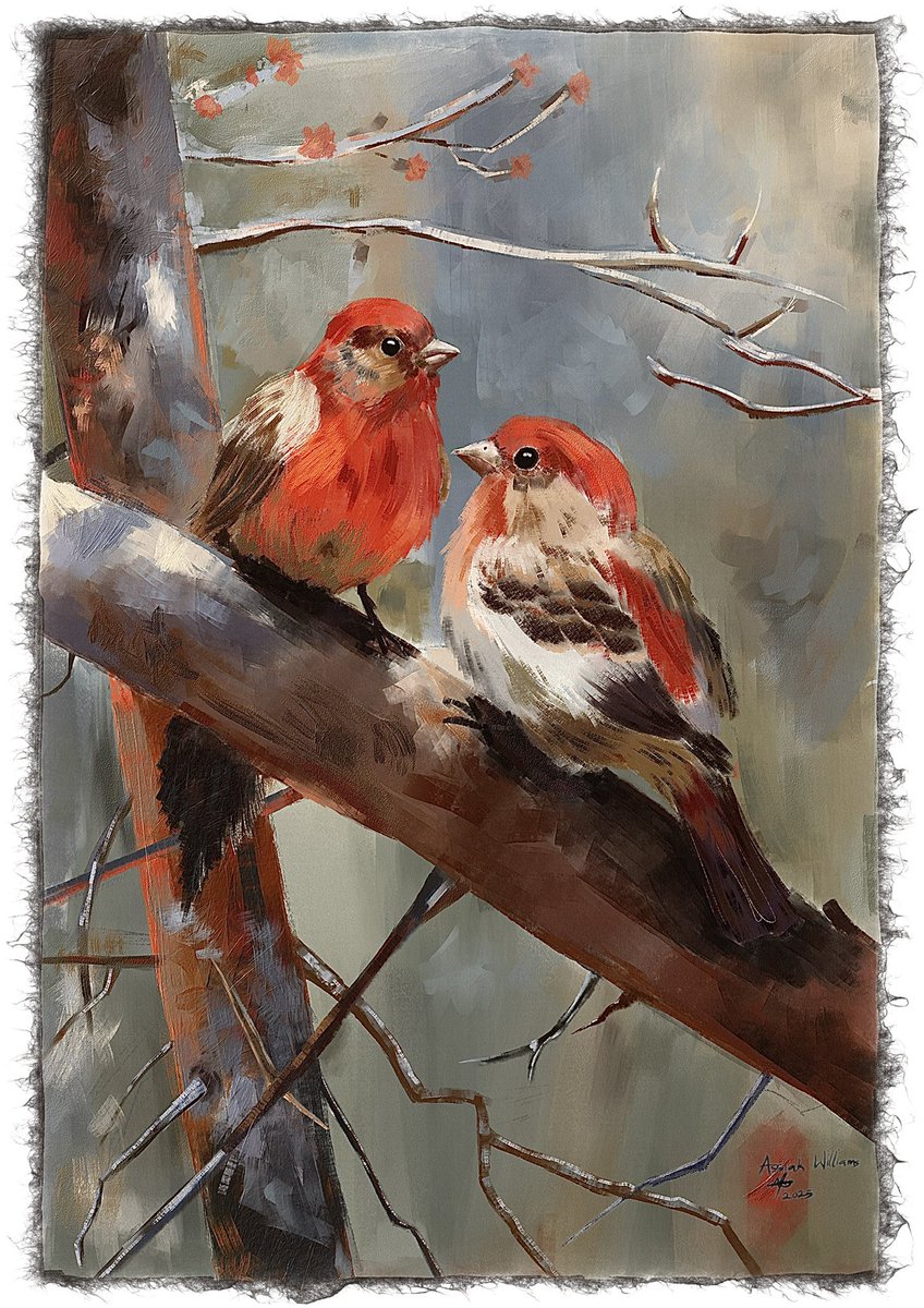 Big_Daddy_Wills tweet media