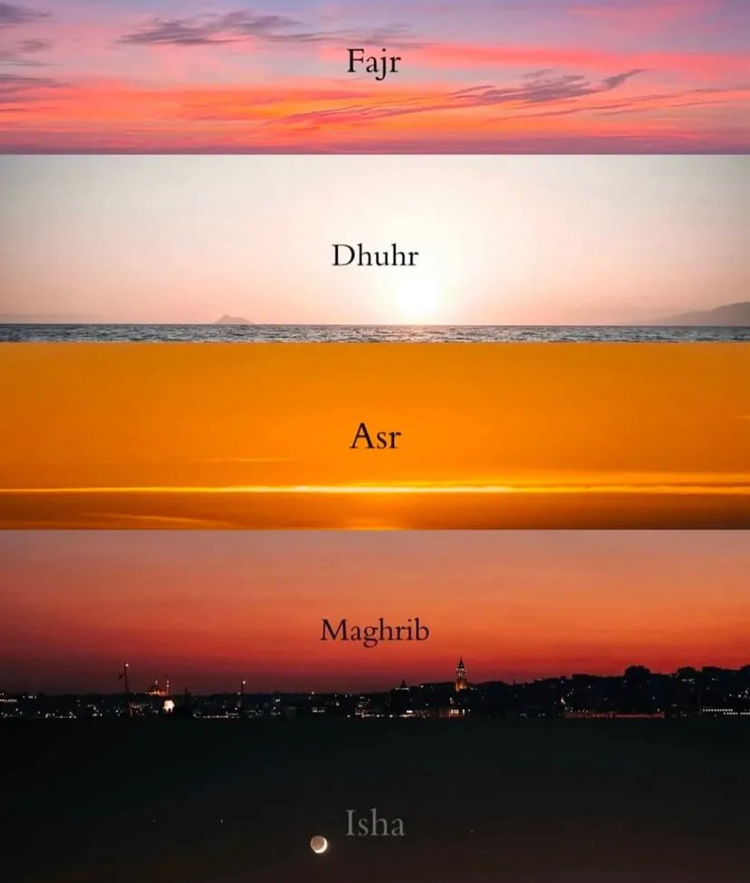 La réussite en 5 étapes