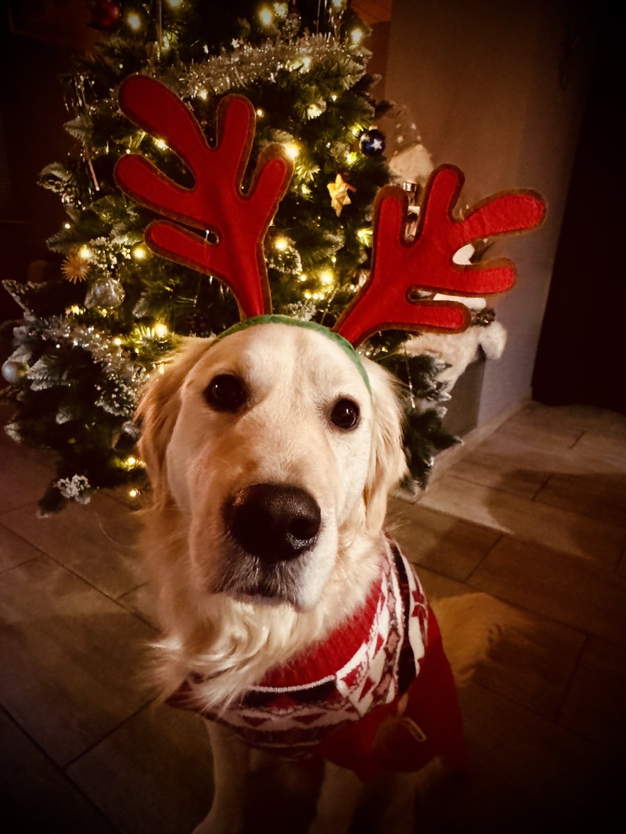 Wenn selbst Boyd an Weihnachten aussieht, als hätte er die Tabelle gesehen...