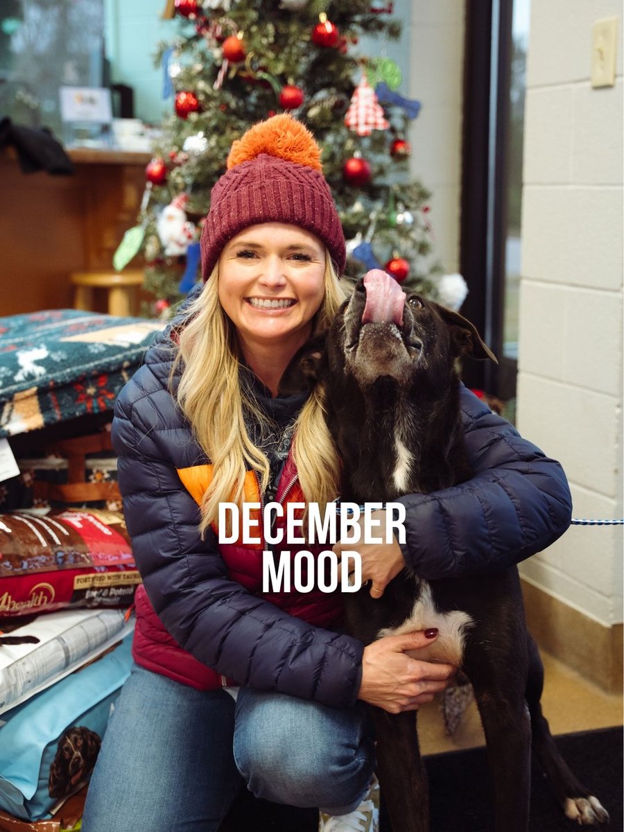 Miranda Lambert's MuttNation tweet media