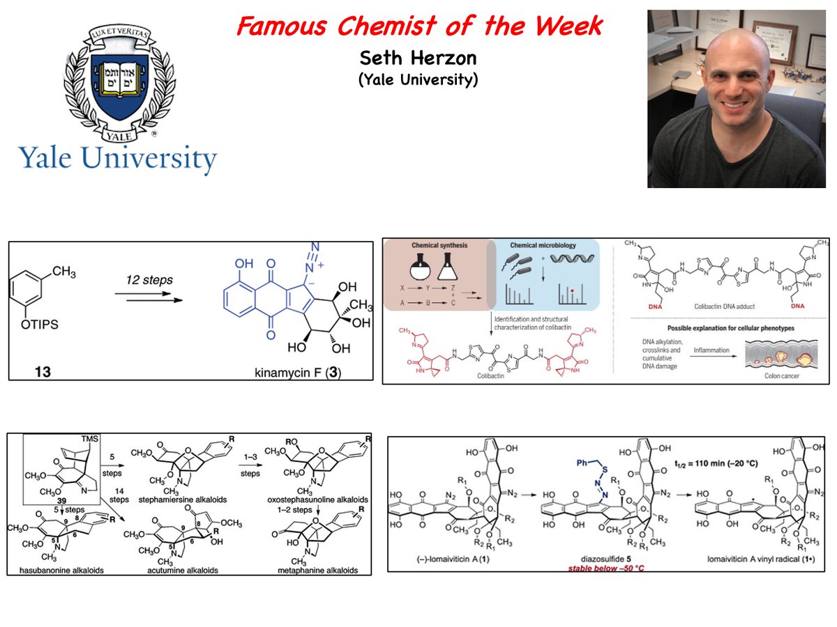 TambarLab tweet media