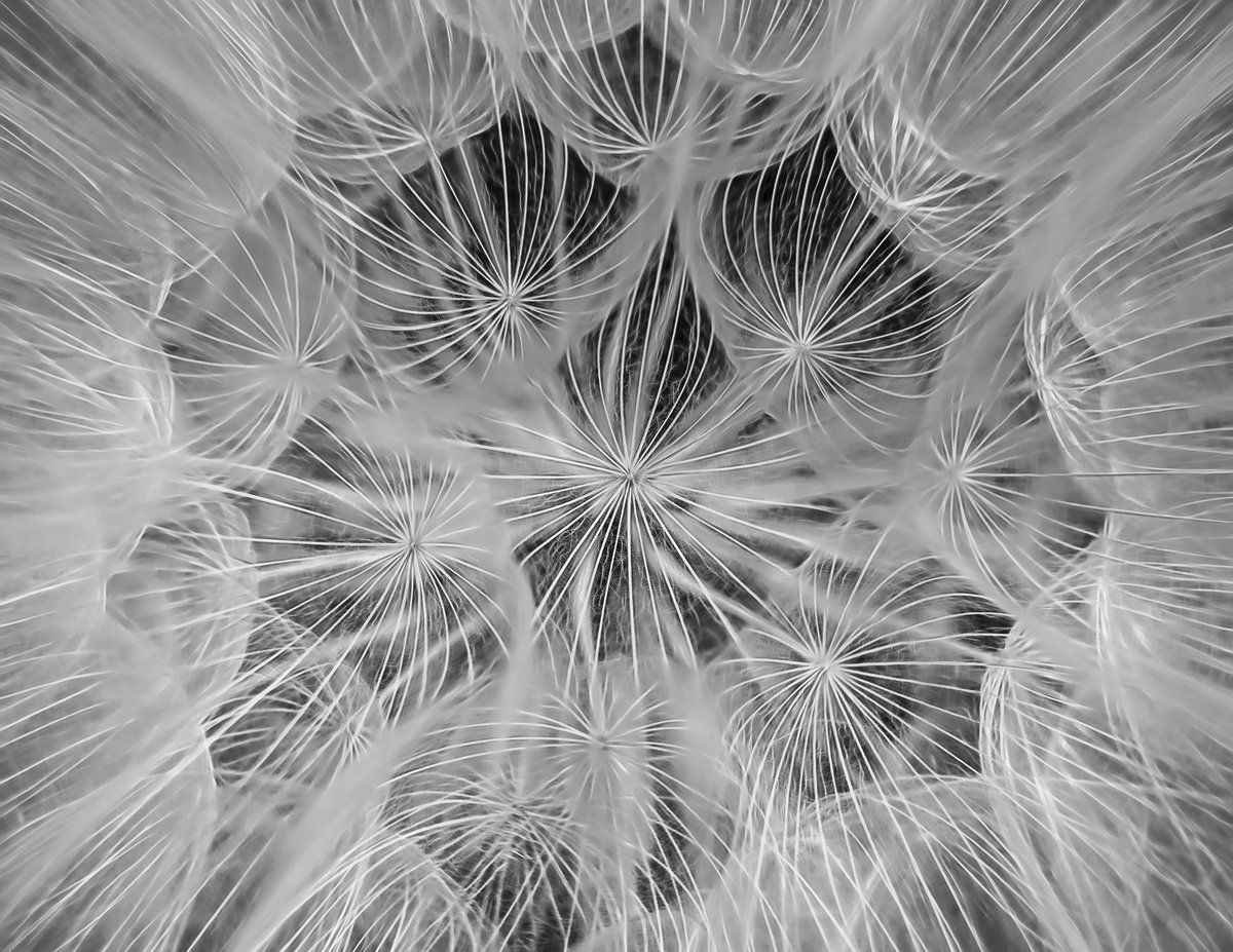 <a href="/CozomoMedici/">Cozomo de’ Medici</a> <a href="/rollbit/">Rollbit</a> That is awesome thank you for the opportunity 

check out “Connected” 
Part of the awesome <a href="/TheBnWWorld/">The Black & White World ⟁</a> collection 

foundation.app/mint/eth/0x21f…