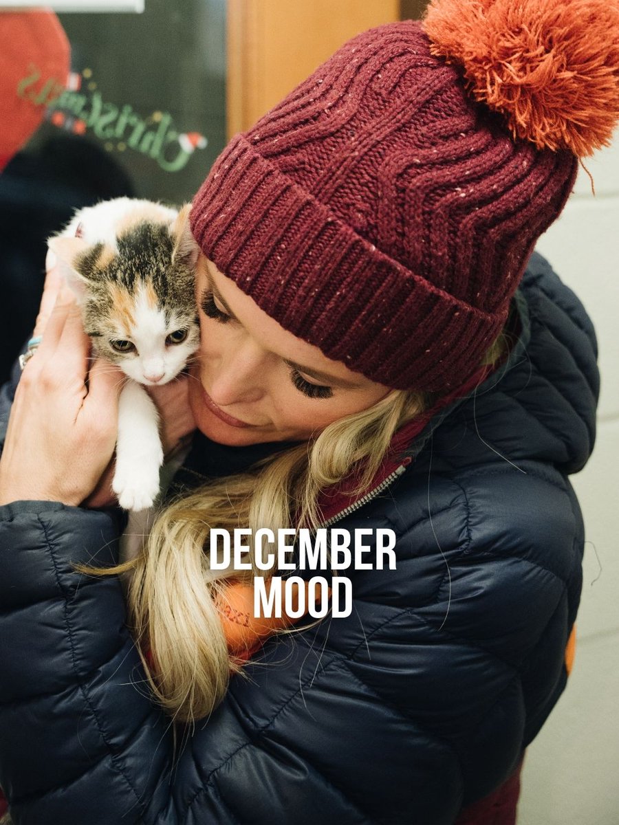 Miranda Lambert's MuttNation tweet media