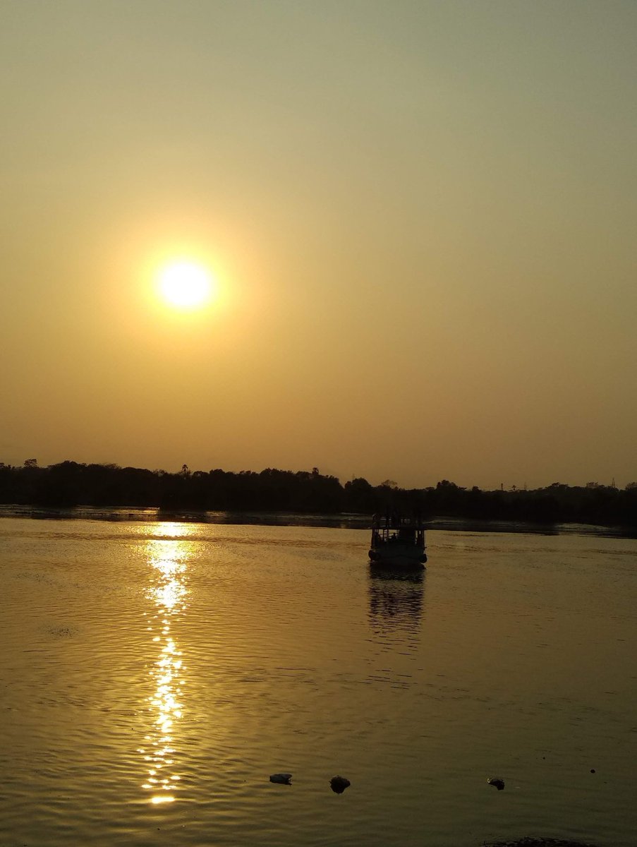 Programming Memes tweet media