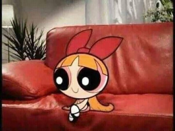 OH SAPATÃO tweet media