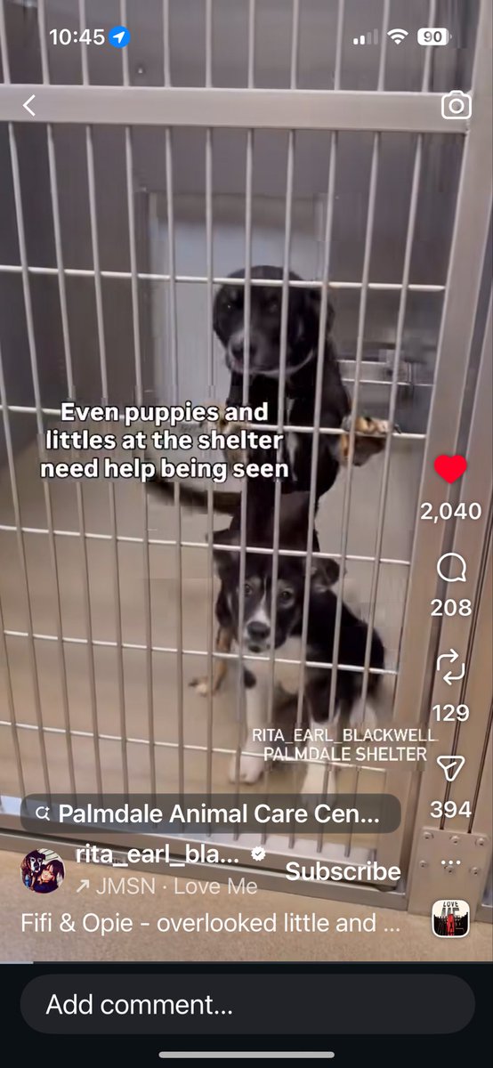 piperferguson tweet media