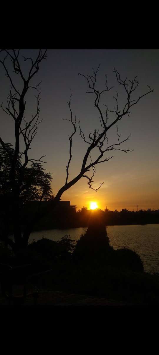 Programming Memes tweet media