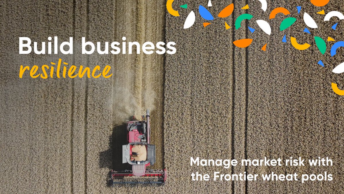 FrontierAg's tweet image. A bigger UK wheat crop is expected thanks to larger plantings &amp;amp; good autumn growth. For milling wheat in particular, storage &amp;amp; timely movements will be key. 

Our pools help spread your risk &amp;amp; can be a great marketing tool: loom.ly/KCwLT08