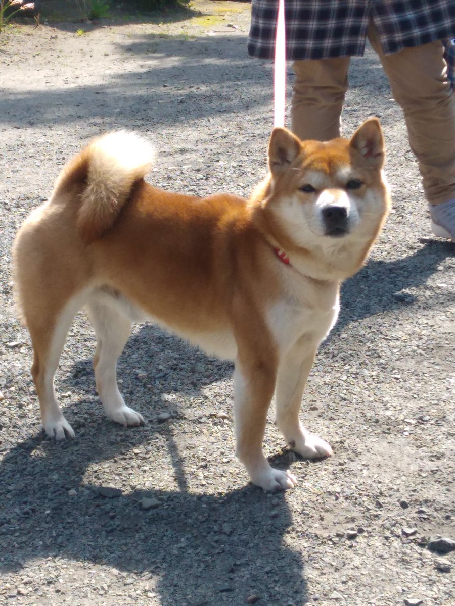 クマじいさん (@3UX7LKEdlvRVTTK) / Posts / X